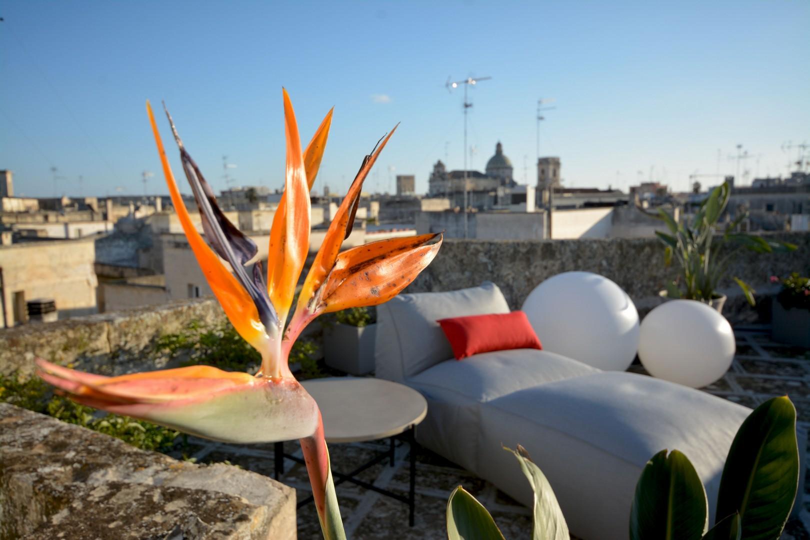 Roof top furnished terrace