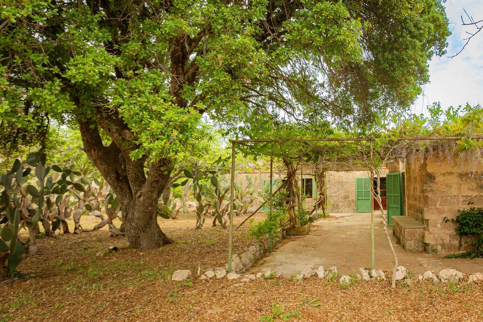 MASSERIA DON MATTIA - MAIN HOUSE