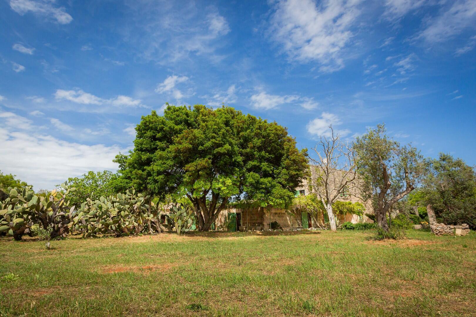 MASSERIA DON MATTIA - MAIN HOUSE