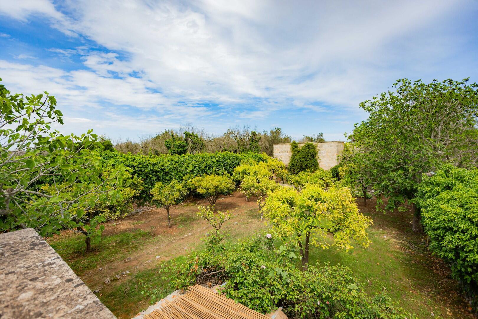 MASSERIA DON MATTIA - MAIN HOUSE